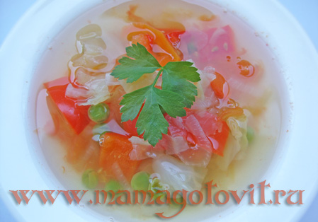 Боннский суп для похудения - кулинарный рецепт с фото
